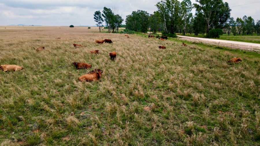 8 Bedroom Property for Sale in Bloemfontein Rural Free State